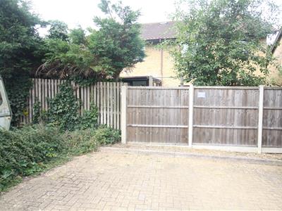Picture 16